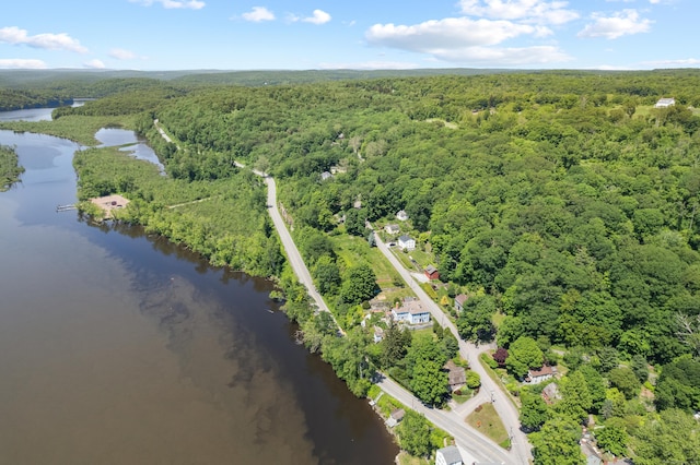 6 Landing Hill Rd, East Haddam, CT 06423 - aerial overview of property's location featuring a forest and a nearby body of water