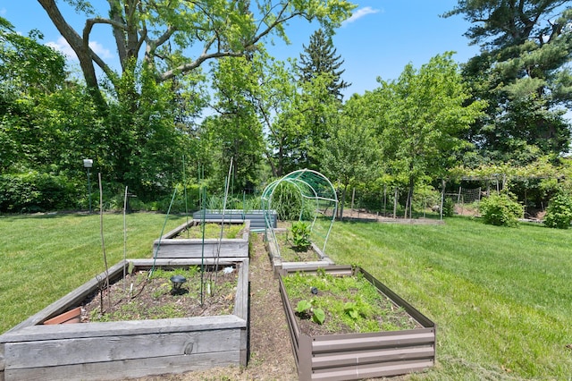25 Parkwood Ave, Waterbury, CT 06708 - view of green lawn featuring a garden and view of wooded area