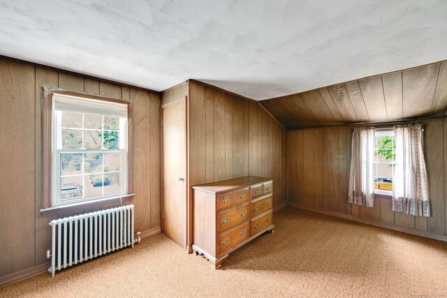 151 Mckee St, Manchester, CT 06040 - bonus room featuring radiator, healthy amount of natural light, wood walls, lofted ceiling, and light carpet