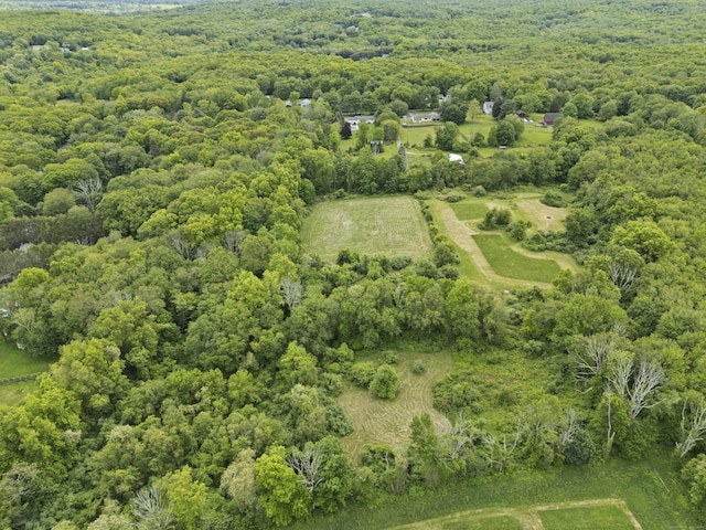 176 Prospect Hill Rd, Colchester, CT 06415 - drone / aerial view of a forest