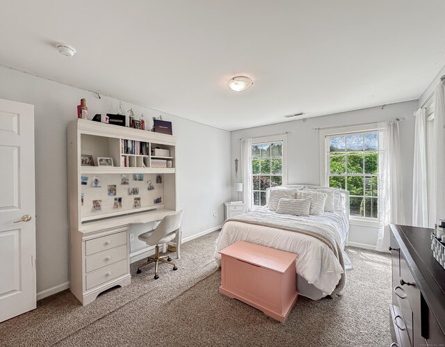 67 Melissa Ln, Prospect, CT 06712 - bedroom featuring carpet floors and built in study area