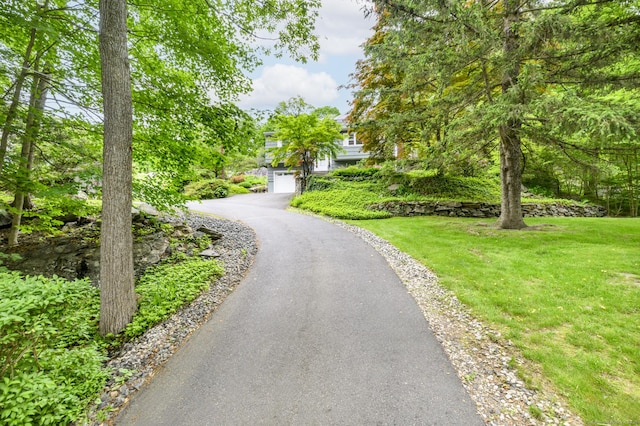 525 Bennetts Farm Rd, Ridgefield, CT 06877 - obstructed view of property with driveway and a front yard
