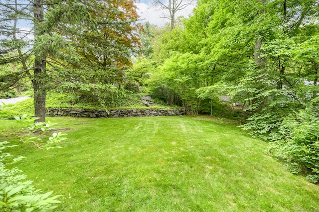 525 Bennetts Farm Rd, Ridgefield, CT 06877 - view of green lawn