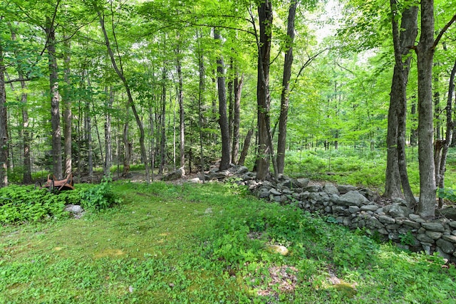 10 Meeting House Rd, Barkhamsted, CT 06063 - view of yard featuring a forest view