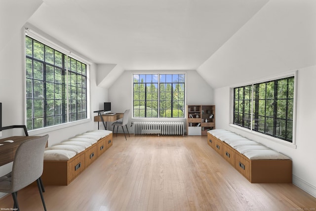 20 Cook Rd, Stamford, CT 06902 - bedroom with radiator heating unit and light wood-style floors