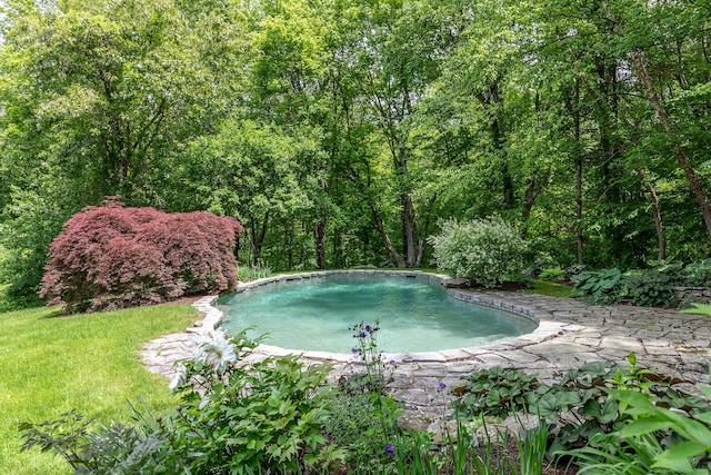 88 Hemlock Rd, Roxbury, CT 06783 - view of swimming pool featuring a forest view