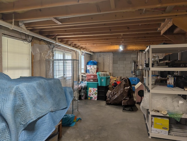 35 Snake Meadow Rd, Killingly, CT 06239 - below grade area featuring concrete block wall