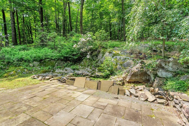 33 Caudatowa Dr, Ridgefield, CT 06877 - photo 23