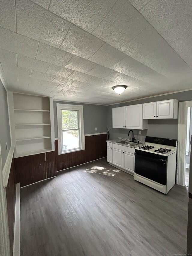 51 Division St, Norwich, CT 06360 - kitchen featuring range with gas cooktop, dark wood-style floors, white cabinetry, a wainscoted wall, and built in features