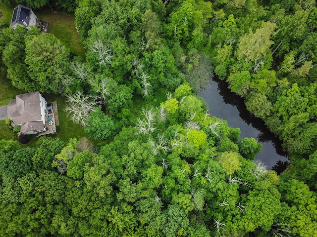 10 Heritage Way, Barkhamsted, CT 06063 - aerial overview of property's location featuring a nearby body of water