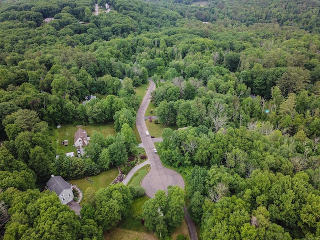 10 Heritage Way, Barkhamsted, CT 06063 - aerial overview of property's location featuring a heavily wooded area
