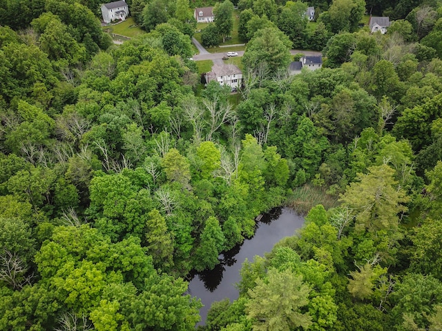 10 Heritage Way, Barkhamsted, CT 06063 - aerial view of a nearby body of water