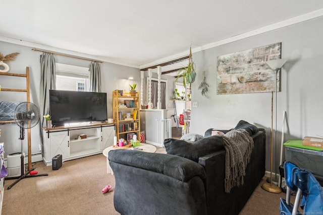 24 Maple St, Torrington, CT 06790 - living area featuring carpet floors