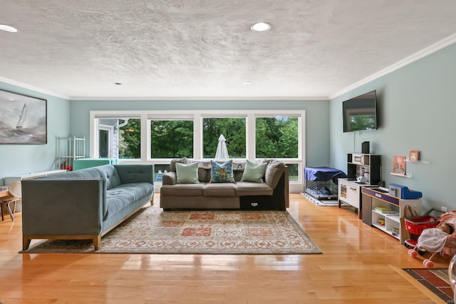 1704 Hill St, Suffield, CT 06078 - living room with healthy amount of natural light, ornamental molding, wood finished floors, and a textured ceiling