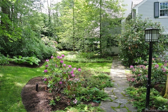 175 Tokeneke Dr, North Haven, CT 06473 - view of yard