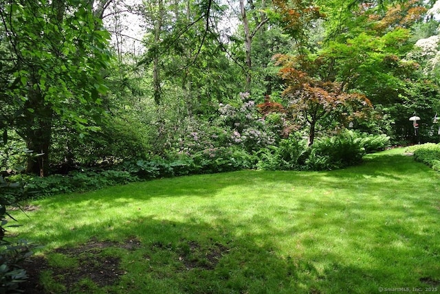 175 Tokeneke Dr, North Haven, CT 06473 - view of grassy yard featuring a wooded view