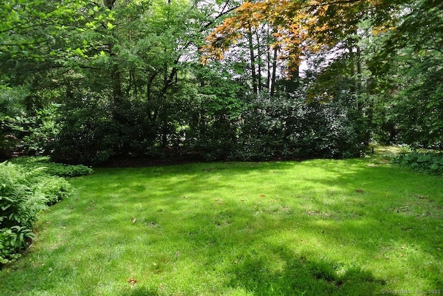 175 Tokeneke Dr, North Haven, CT 06473 - view of grassy yard