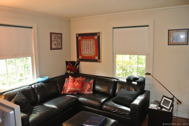 175 Tokeneke Dr, North Haven, CT 06473 - living room featuring ornamental molding