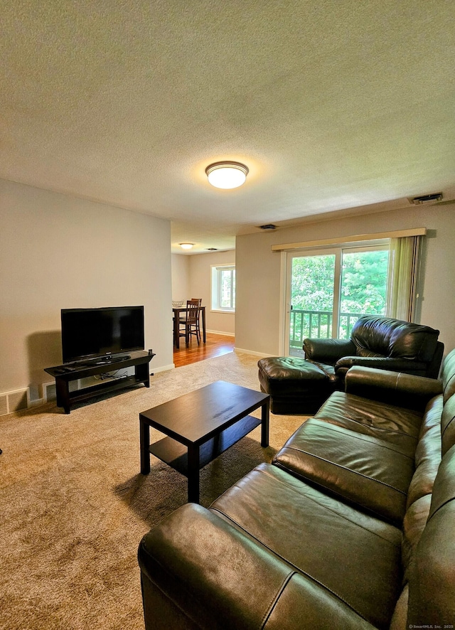 42 Village Rd Unit 42, Southington, CT 06489 - living area featuring carpet flooring and a textured ceiling