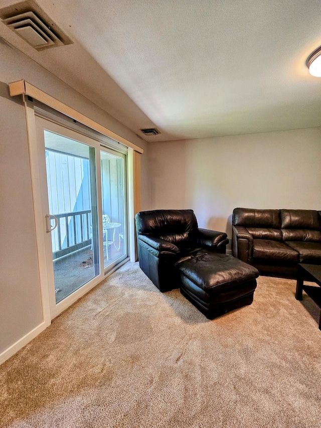 42 Village Rd Unit 42, Southington, CT 06489 - carpeted living area with baseboards