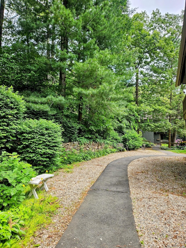 42 Village Rd Unit 42, Southington, CT 06489 - view of home's community