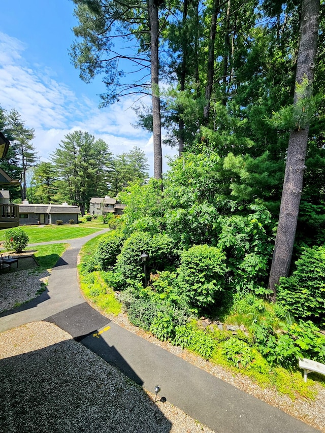 42 Village Rd Unit 42, Southington, CT 06489 - view of property's community