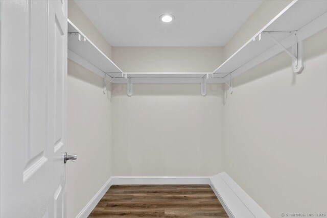 121 Lurton St, New Britain, CT 06053 - walk in closet with dark wood-style flooring