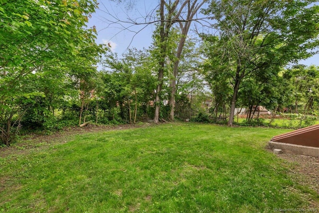 121 Lurton St, New Britain, CT 06053 - view of green lawn