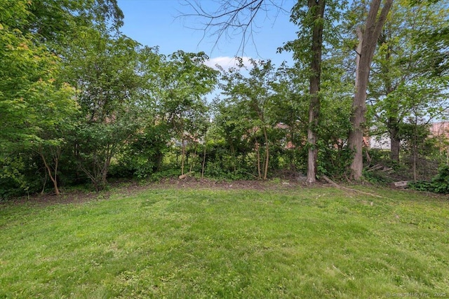 121 Lurton St, New Britain, CT 06053 - view of grassy yard