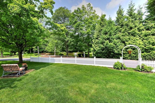 19 Old Colony Rd Unit 19, Monroe, CT 06468 - view of yard