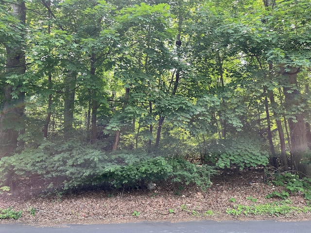 63 Park Rd, Hamden, CT 06517 - view of wooded area