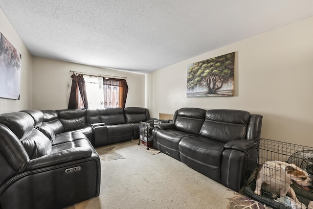 3 Jeffrey Alan Dr, Manchester, CT 06042 - carpeted living area with a textured ceiling