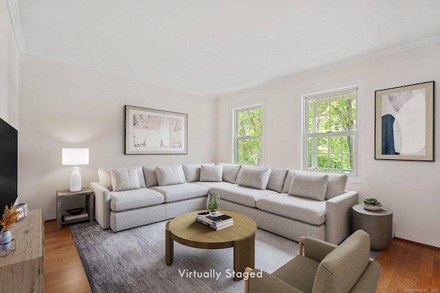 22 Loomis Dr, Coventry, CT 06238 - living room with crown molding, wood finished floors, and baseboards