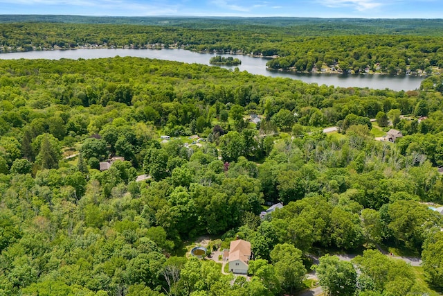 22 Loomis Dr, Coventry, CT 06238 - bird's eye view of a forest and a nearby body of water
