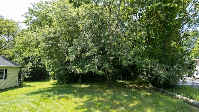 99 Slater Ave, Griswold, CT 06351 - photo 5