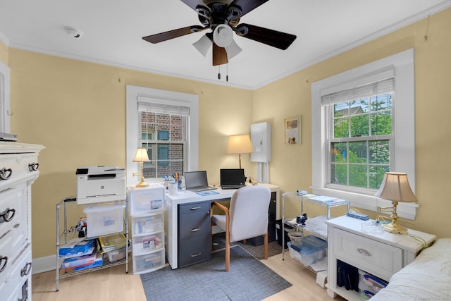 151 Alsace St, Bridgeport, CT 06604 - office area with light wood-type flooring, a ceiling fan, and crown molding