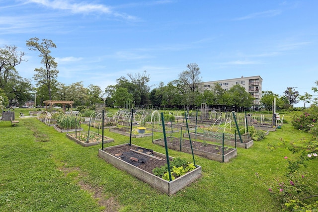 151 Alsace St, Bridgeport, CT 06604 - view of home's community featuring a garden and a yard