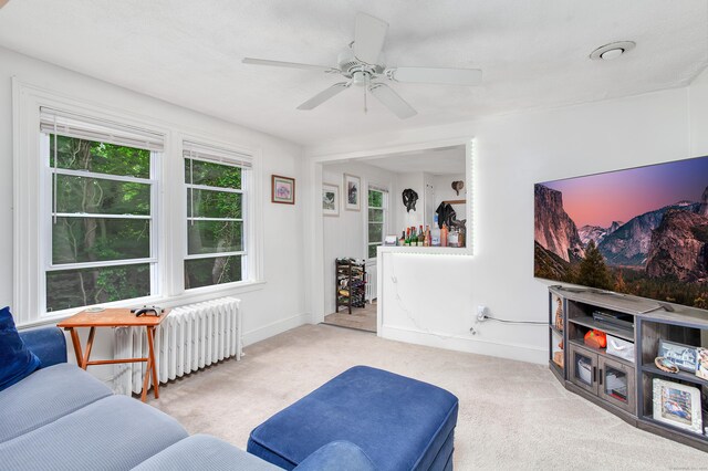 46 Chestnut St, Branford, CT 06405 - photo 22