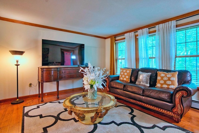 26 Lighthouse Hill Rd, Windsor, CT 06095 - living room with crown molding, wood finished floors, healthy amount of natural light, and baseboards