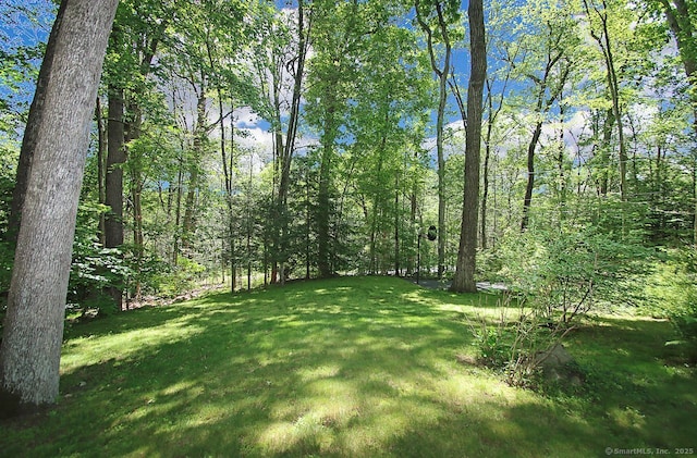 467 Weekeepeemee Rd, Woodbury, CT 06798 - view of grassy yard