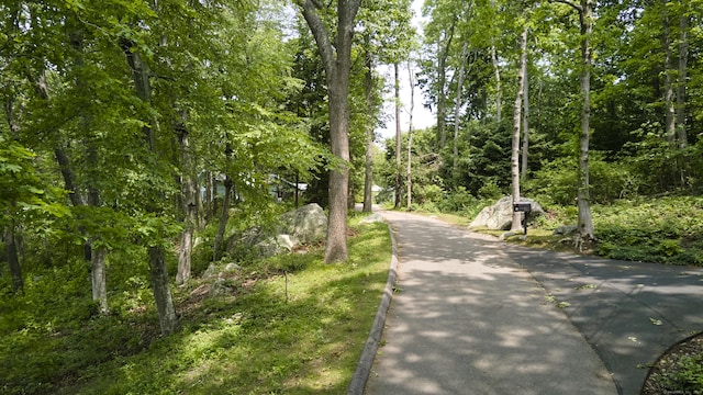 28 Money Point Rd, Stonington, CT 06355