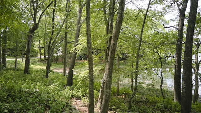 28 Money Point Rd, Stonington, CT 06355