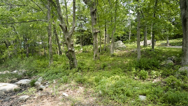 28 Money Point Rd, Stonington, CT 06355