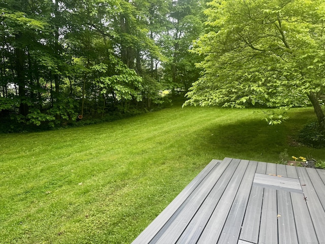 58 Wildwood Ln, Durham, CT 06422 - view of green lawn with a deck