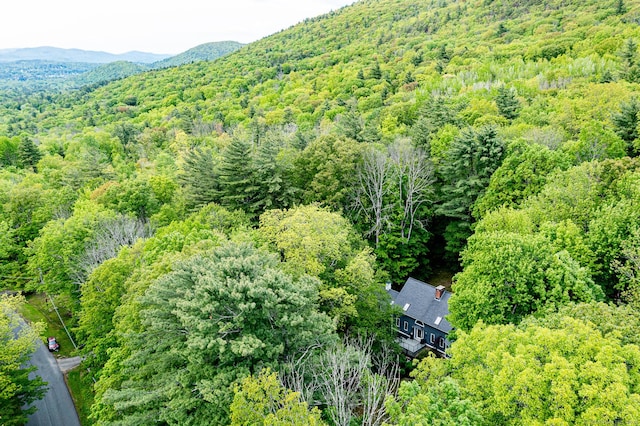 1900 Home Rd, Great Barrington, MA 01230 - view from above of property featuring a heavily wooded area and a mountainous background