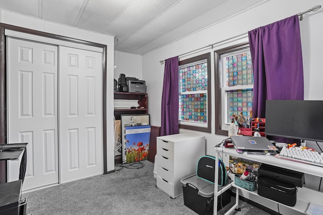 70 Woodland Park, Shelton, CT 06484 - view of carpeted office