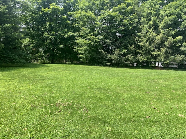 116 Taylor Rd, New Milford, CT 06776 - view of grassy yard