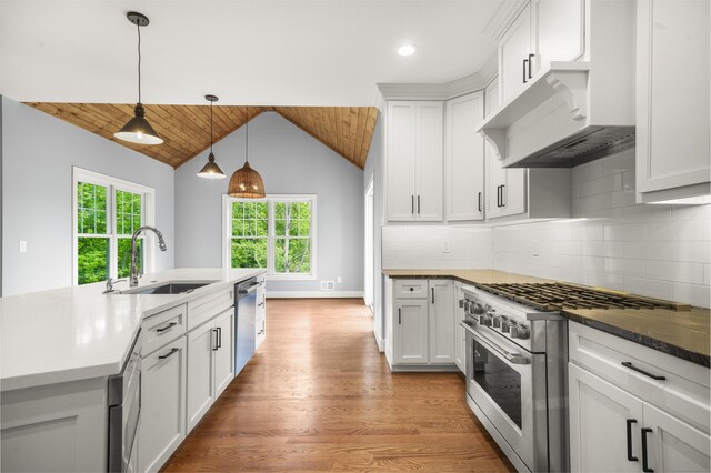 14 Fiddlehead Pl, Suffield, CT 06078 - kitchen featuring appliances with stainless steel finishes, a sink, vaulted ceiling, light wood-style flooring, and hanging light fixtures