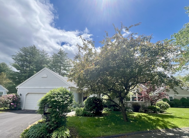 20 Canterbury Rd Unit 20, Hamden, CT 06514 - view of property hidden behind natural elements featuring an attached garage, a front yard, and asphalt driveway