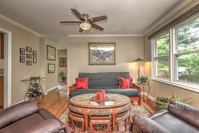 20 Canterbury Rd Unit 20, Hamden, CT 06514 - living area with wood finished floors, a ceiling fan, and ornamental molding